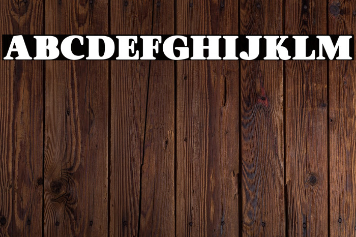 ORANGESPERSONALUSE-Bold Example 3