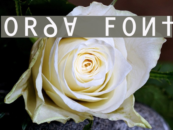 ORAV Font examples