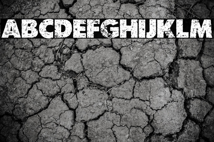 ORBIT PERSONAL USE Bold Example 1