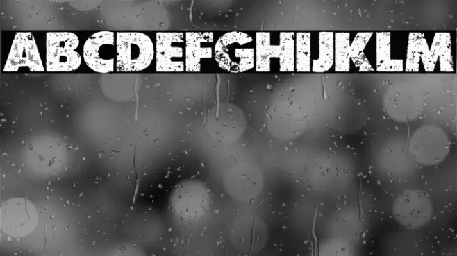 ORBIT PERSONAL USE Bold Font examples