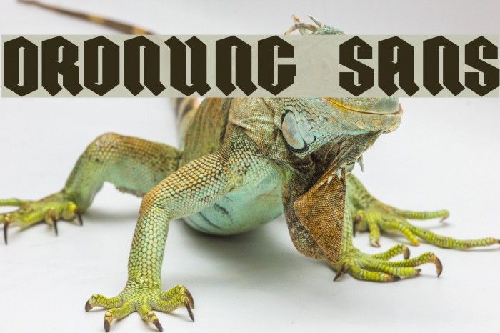 ORDNUNG SANS Example 1