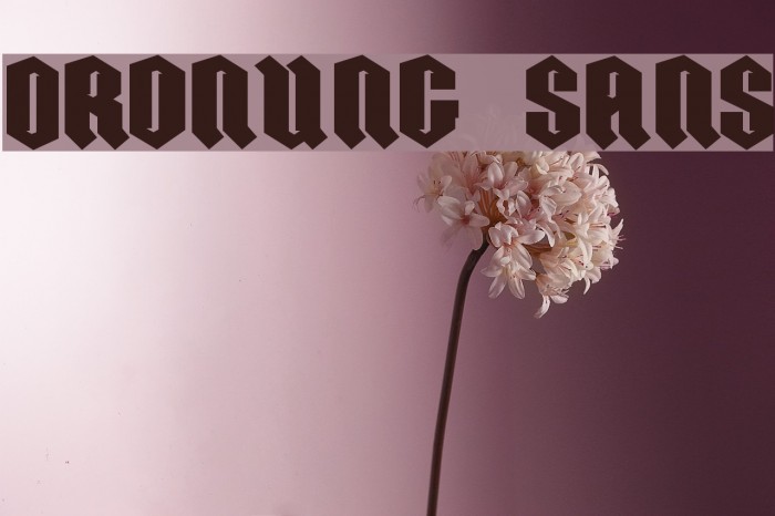 ORDNUNG SANS Example 2