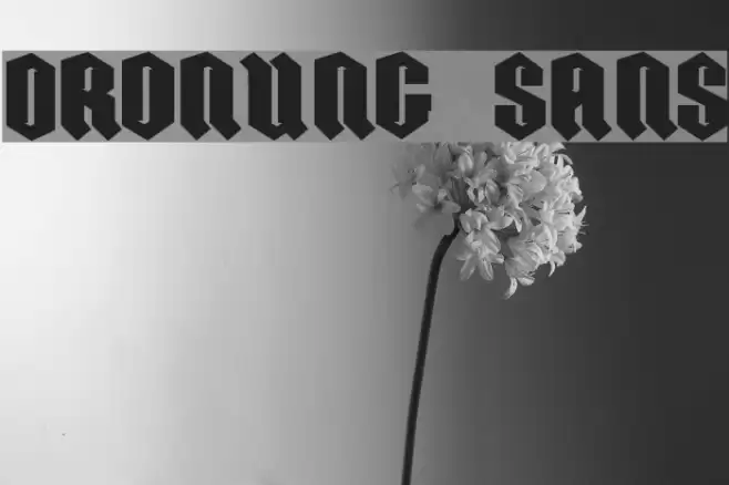 ORDNUNG SANS Font examples