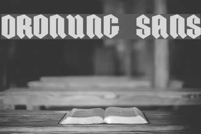 ORDNUNG SANS Font examples