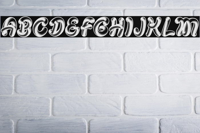 ORGANICAL PERSONAL USE Bold Italic Example 1