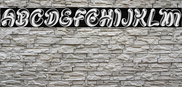 ORGANICAL PERSONAL USE Bold Italic Example 2