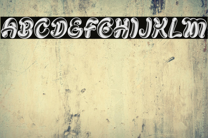 ORGANICAL PERSONAL USE Bold Italic Example 3