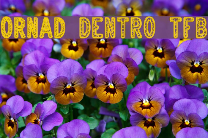 ORNAD dentro tfb Font examples