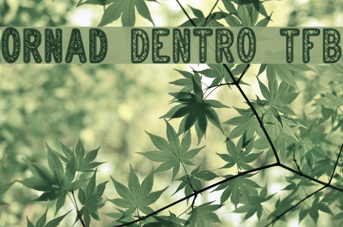 ORNAD dentro tfb Font examples