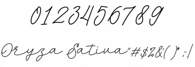 ORYZA SATIVA DEMO Font OTHER CHARS