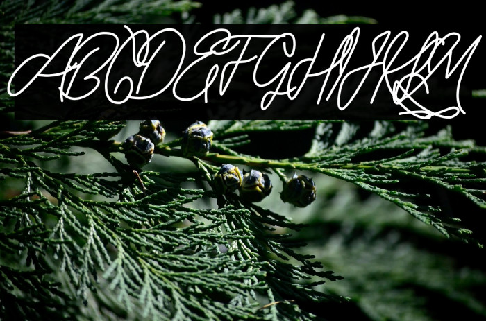 ORYZA SATIVA DEMO Example 1