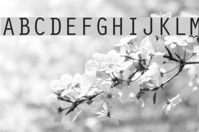 Oracle Regular Font examples