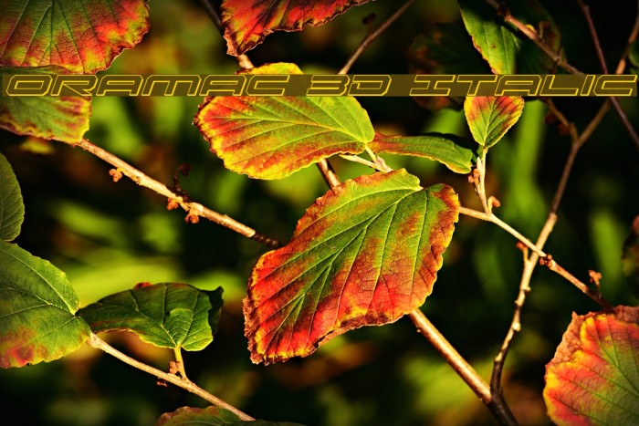 Oramac 3D Italic Example 2