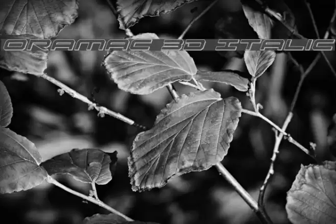 Oramac 3D Italic Font examples