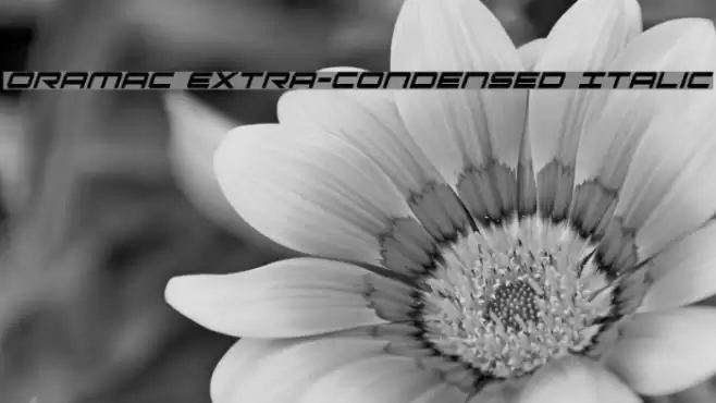 Oramac Extra-Condensed Italic Font examples