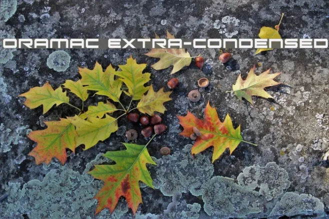 Oramac Extra-Condensed Example 1