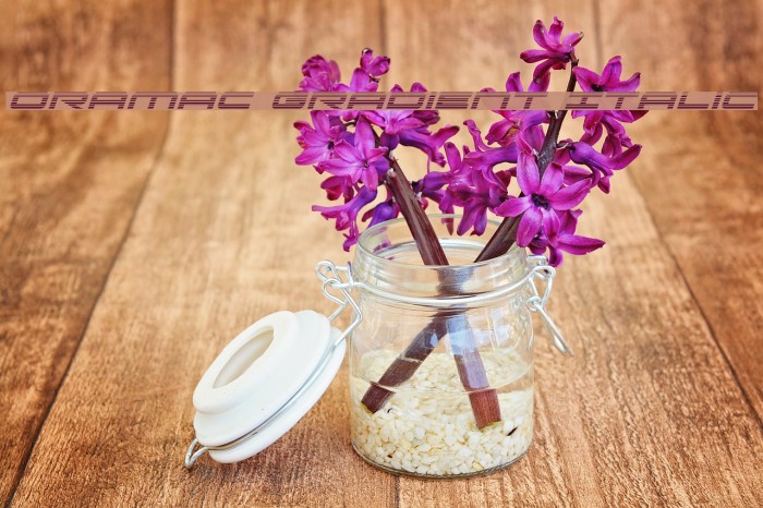 Oramac Gradient Italic Example 3