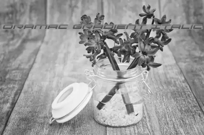 Oramac Gradient Italic Font examples