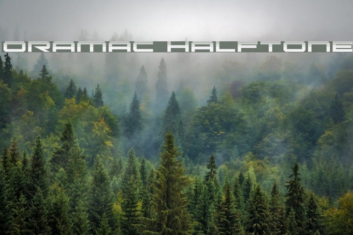 Oramac Halftone Font examples