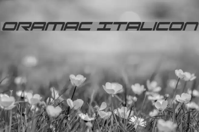 Oramac ItaliCon Font examples