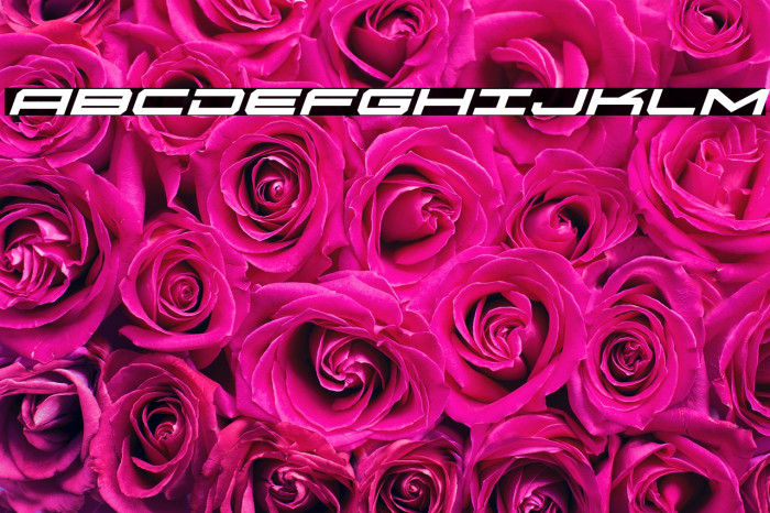 Oramac Italic Example 3