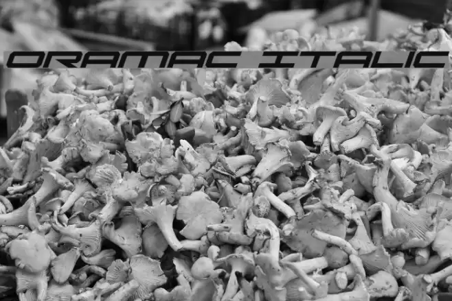 Oramac Italic Font examples