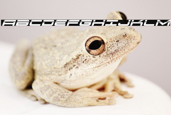 Oramac Laser Italic Example 2