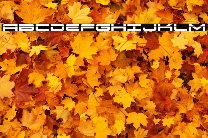 Oramac Laser Example 1