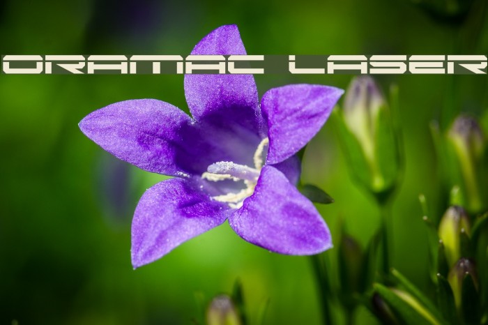 Oramac Laser Font examples