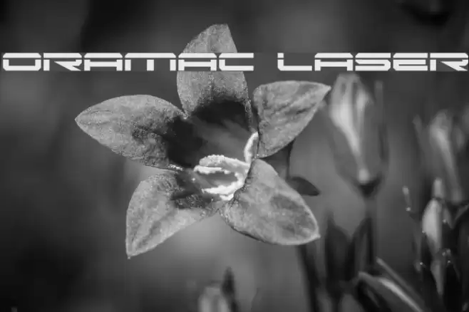 Oramac Laser Caratteri examples