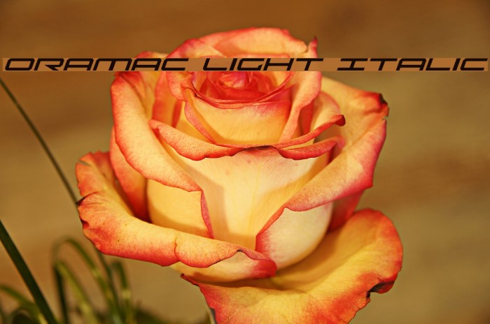 Oramac Light Italic Schriftart examples