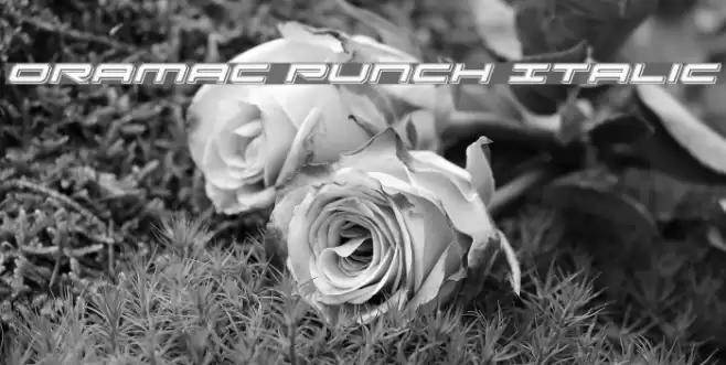 Oramac Punch Italic Font examples
