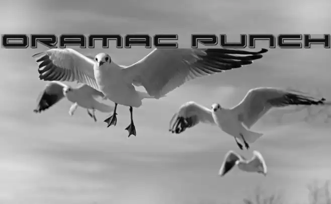 Oramac Punch Font examples