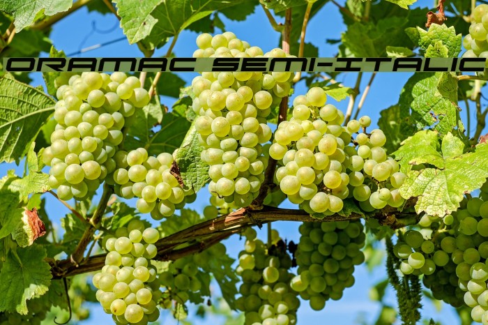 Oramac Semi-Italic Example 1