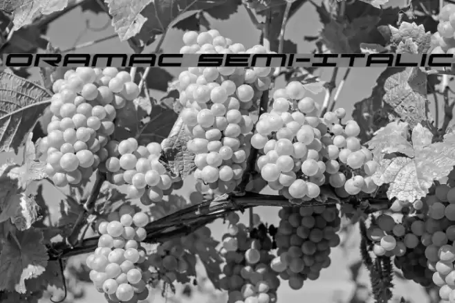 Oramac Semi-Italic Font examples