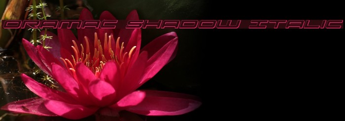 Oramac Shadow Italic Font examples