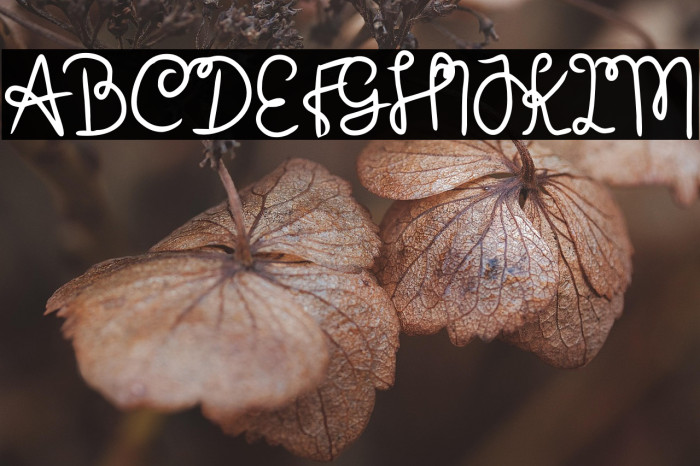 Orang Gila Example 1