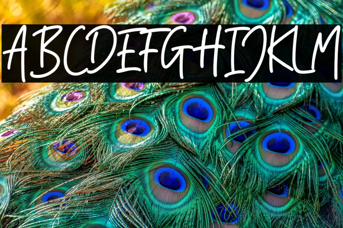 Orange Blossom Example 2