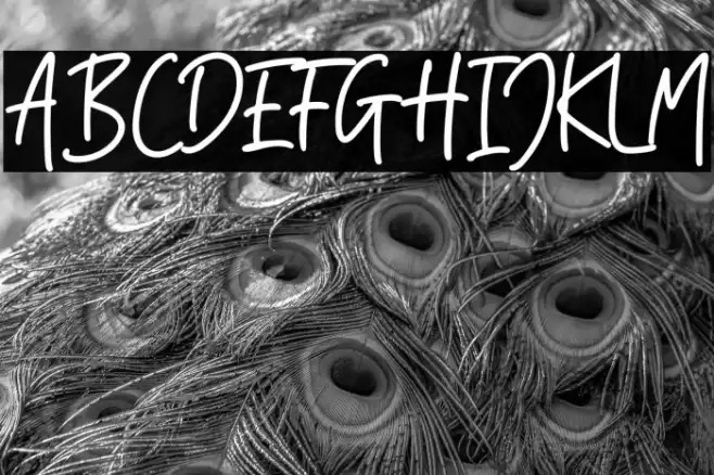 Orange Blossom Font examples