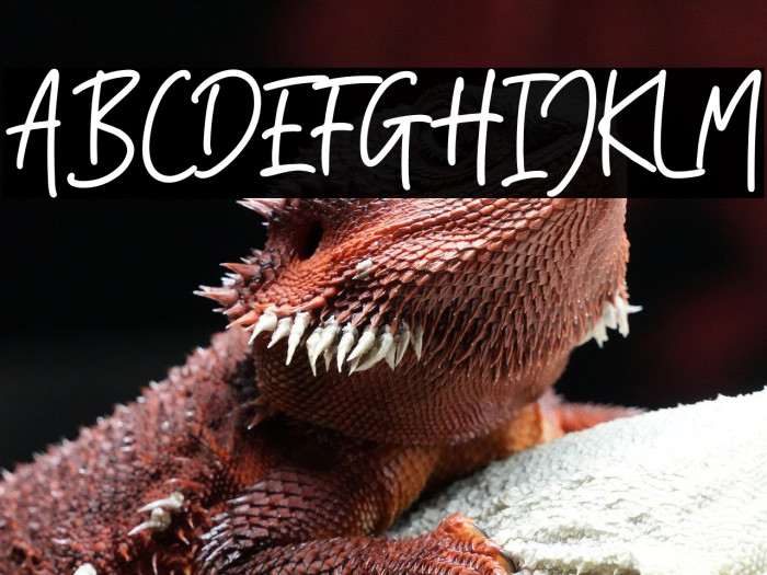 Orange Blossom Example 3