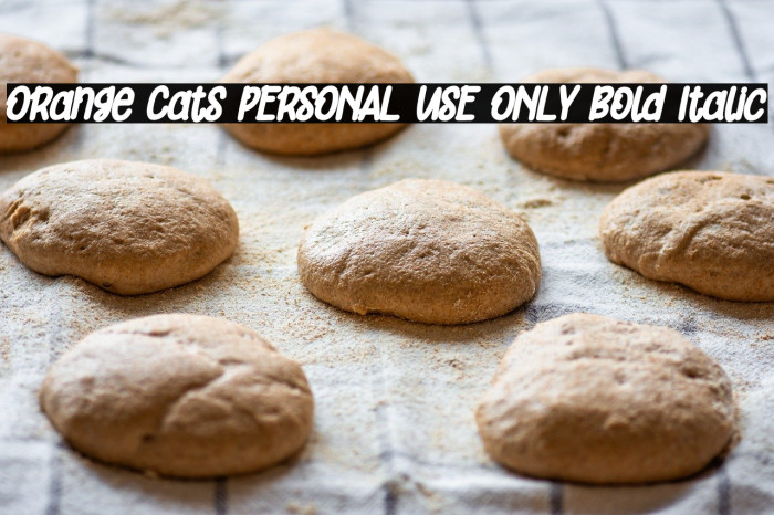 Orange Cats PERSONAL USE ONLY Bold Italic Example 1