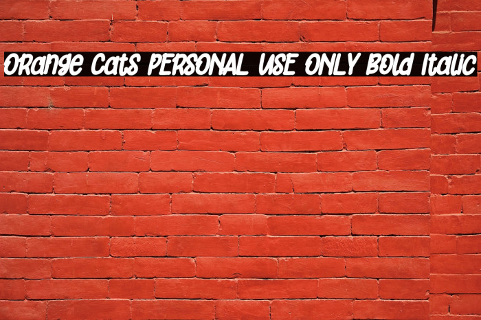Orange Cats PERSONAL USE ONLY Bold Italic Example 2