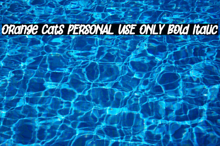 Orange Cats PERSONAL USE ONLY Bold Italic Example 3