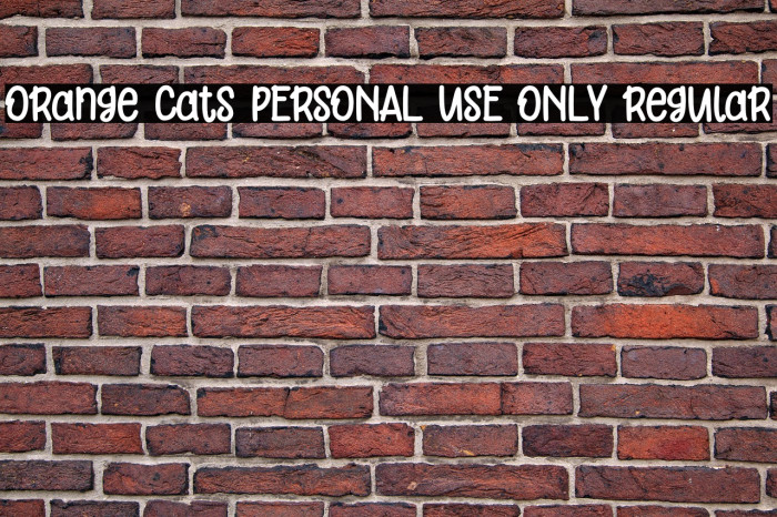 Orange Cats PERSONAL USE ONLY Regular Example 2