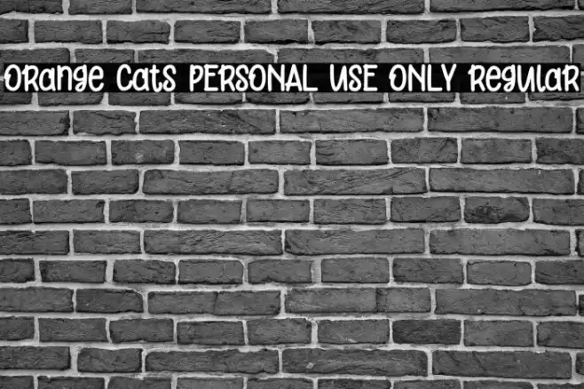 Orange Cats PERSONAL USE ONLY Regular Font examples