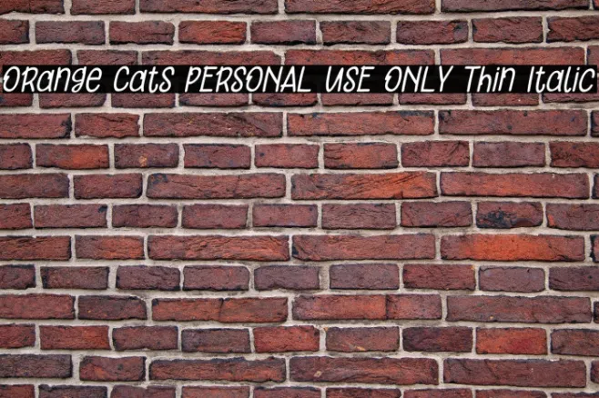 Orange Cats PERSONAL USE ONLY Thin Italic Example 2