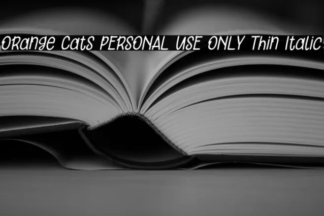 Orange Cats PERSONAL USE ONLY Thin Italic Example 3