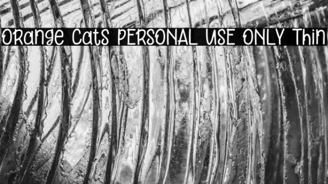 Orange Cats PERSONAL USE ONLY Thin Font examples