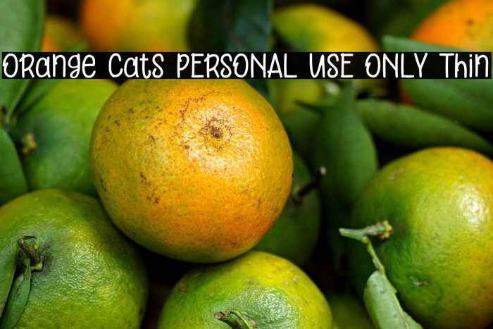 Orange Cats PERSONAL USE ONLY Thin Example 2