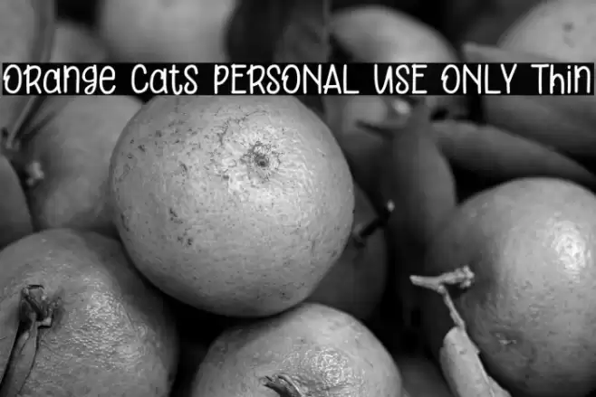 Orange Cats PERSONAL USE ONLY Thin Font examples